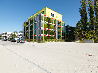 BIQ - Das Algenhaus - The Clever Treefrog, Foto: Paul Ott