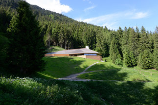 Umbrüggler Alm, Foto: Elmar Ludescher