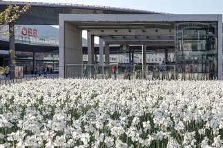 Nahverkehrsdrehscheibe Graz Hauptbahnhof, Foto: pierer.net