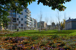 Leon-Zelman-Park, Foto: Karl Grimm