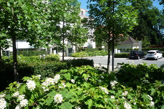 Elkangarten alte jüdische Schule Hohenems, Foto: stadtland