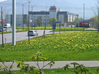 A14 Messekreuzung Dornbirn, Foto: Thomas Loacker