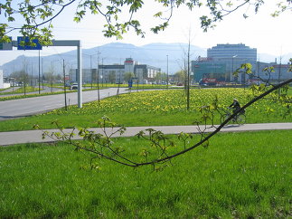 A14 Messekreuzung Dornbirn, Foto: Thomas Loacker