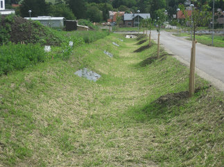 Freiraum Wohnpark Försterweg, Foto: Karl Grimm