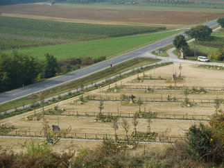 Parkplatz Römersteinbruch, Foto: 3:0 Landschaftsarchitektur Gachowetz Luger Zimermann OG