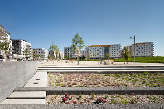 Hannah-Arendt-Park, Foto: Kurt Kuball