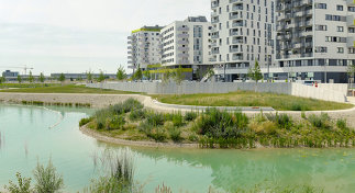 Aspern Seepark und Yella-Hertzka-Park, Foto: Lavaland GmbH Laura Vahl Landschaftsarchitektur