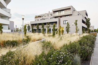 Freiraumgestaltung Wohnbau Gerasdorfer Straße, Foto: Manfred Seidl