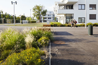 Freiraumgestaltung Wohnbau Gerasdorfer Straße, Foto: Manfred Seidl