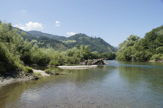 murerleben – ein Fluss entwickelt sich, Foto: freiland Umweltconsulting ZT GmbH