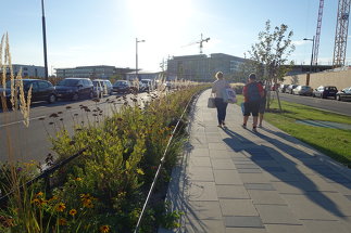 Ringstraße Aspern - Gestaltungszonen, Foto: 3:0 Landschaftsarchitektur Gachowetz Luger Zimermann OG