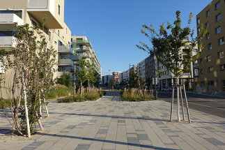 Ringstraße Aspern - Gestaltungszonen, Foto: 3:0 Landschaftsarchitektur Gachowetz Luger Zimermann OG