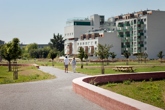 Kirschblütenpark, Foto: YEWO LANDSCAPES