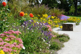 Pflanzplanung Landesgartenschau Aigen Schlägl, Foto: Sabine Plenk