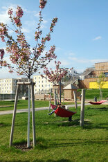 Freiraum Bildungscampus Seestadt Aspern, Foto: Land in Sicht