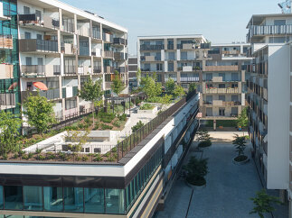 Freiraum Brauquartier Puntigam, Foto: Monsberger Gartenarchitektur GmbH