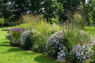 Pflanzplanung Landesgartenschau Aigen Schlägl, Foto: Sabine Plenk