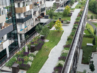 Freiraum Brauquartier Puntigam, Foto: Monsberger Gartenarchitektur GmbH