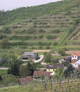 Haus Weinbergweckerl, Foto: Armin Bardel