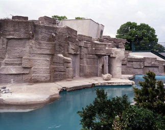 Polarium Tiergarten Schönbrunn, Foto: Margherita Spiluttini