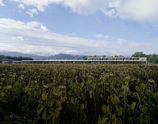 Stadtgartenzentrale, Foto: Paul Ott