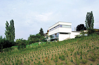 Einfamilienhaus, Foto: Rupert Steiner