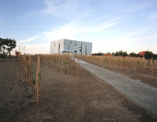 Besucherzentrum Weinerlebniswelt Loisium, Foto: Margherita Spiluttini