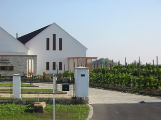 Weingut Umathum, Foto: Martin Promintzer