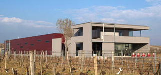 Weingut Beck, Foto: Architekten Halbritter & Hillerbrand ZT GmbH