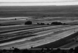 Das Landschaftskonzept Neusiedlersee West, Foto: Ingo Korner