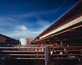 Biologischer Landwirtschaftsbetrieb ´Vetterhof´, Foto: SFH Bildkommunikation GmbH