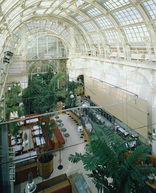 Café im Palmenhaus, Foto: Hannah Heszl