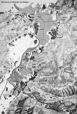 Siedlungs- und Freiflächenentwicklung im Rheintal - 
(k)ein Thema für die Regionalplanung in Vorarlberg?