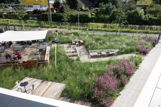 Merkur Campus Graz, Foto: Monsberger Gartenarchitektur GmbH