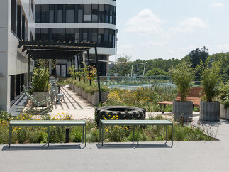 Merkur Campus Graz, Foto: Monsberger Gartenarchitektur GmbH