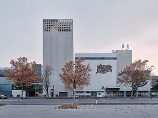 Gutmann Pelletsspeicher, Foto: David Schreyer