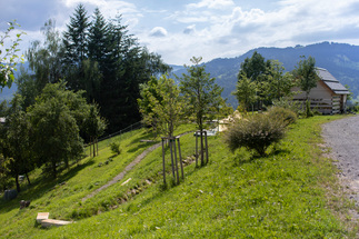 Naturkindergarten Lingenau, Foto: Petra Rainer