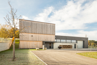 artis lignum, Foto: Julia Wahl