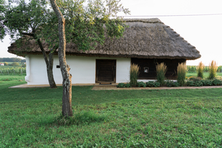 Kellerstöckl Kopfensteiner, Foto: Rainer Schoditsch