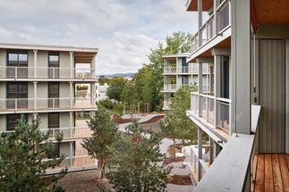 Wohnsiedlung Asylstrasse, Thalwil, Foto: Michael Egloff
