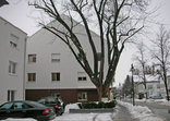 Wohnanlage Marktstraße, Foto: vai Vorarlberger Architektur Institut