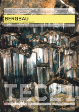 TEC21 2010|12 Bergbau