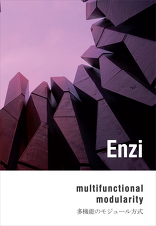 PPAG 3. Enzi – multifunctional modularity