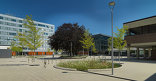Sanierung Freianlagen Campus Technikerstrasse, Leopold-Franzens-Universität Innsbruck, Foto: Günter Richard Wett