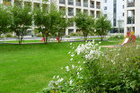 Freiraumgestaltung Park Residences, Foto: Land in Sicht
