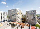 In der Wiesen Ost, Urban Gardening, Bauplatz 5, Bauteil Süd, Foto: Jürgen Pletterbauer