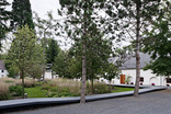 Arboretum Lackenbach, Foto: Hertha Hurnaus