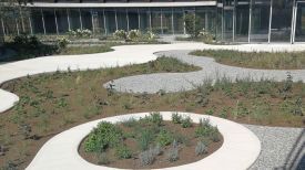 Aquasol Randbegrenzung im Legero Headquarter