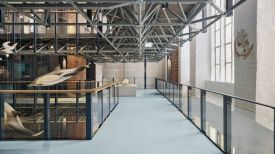 Eintauchen in die Unterwasserwelt