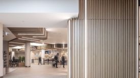 Natürlich, sicher und akustisch wirksam